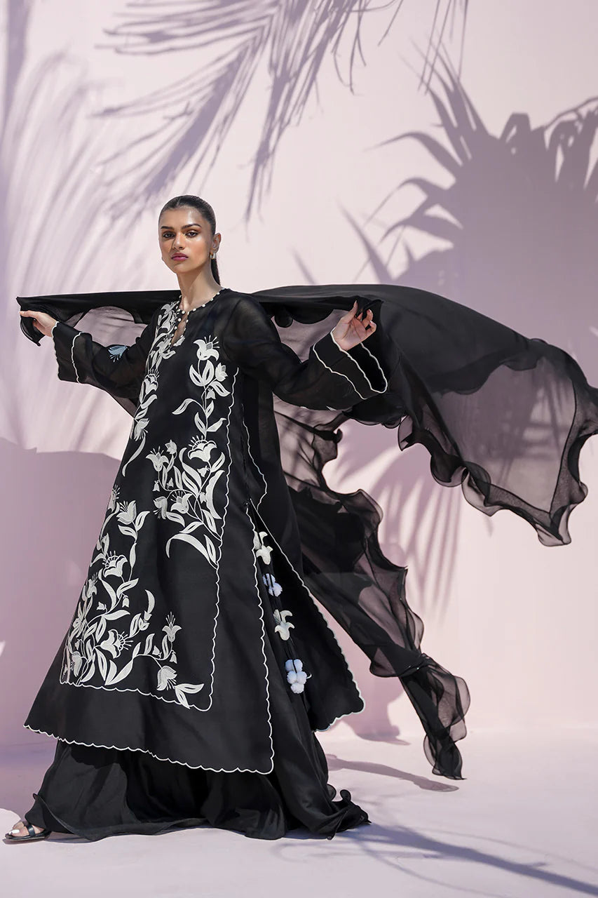Woman in a black and white embroidered dress with a sheer overlay against a white background