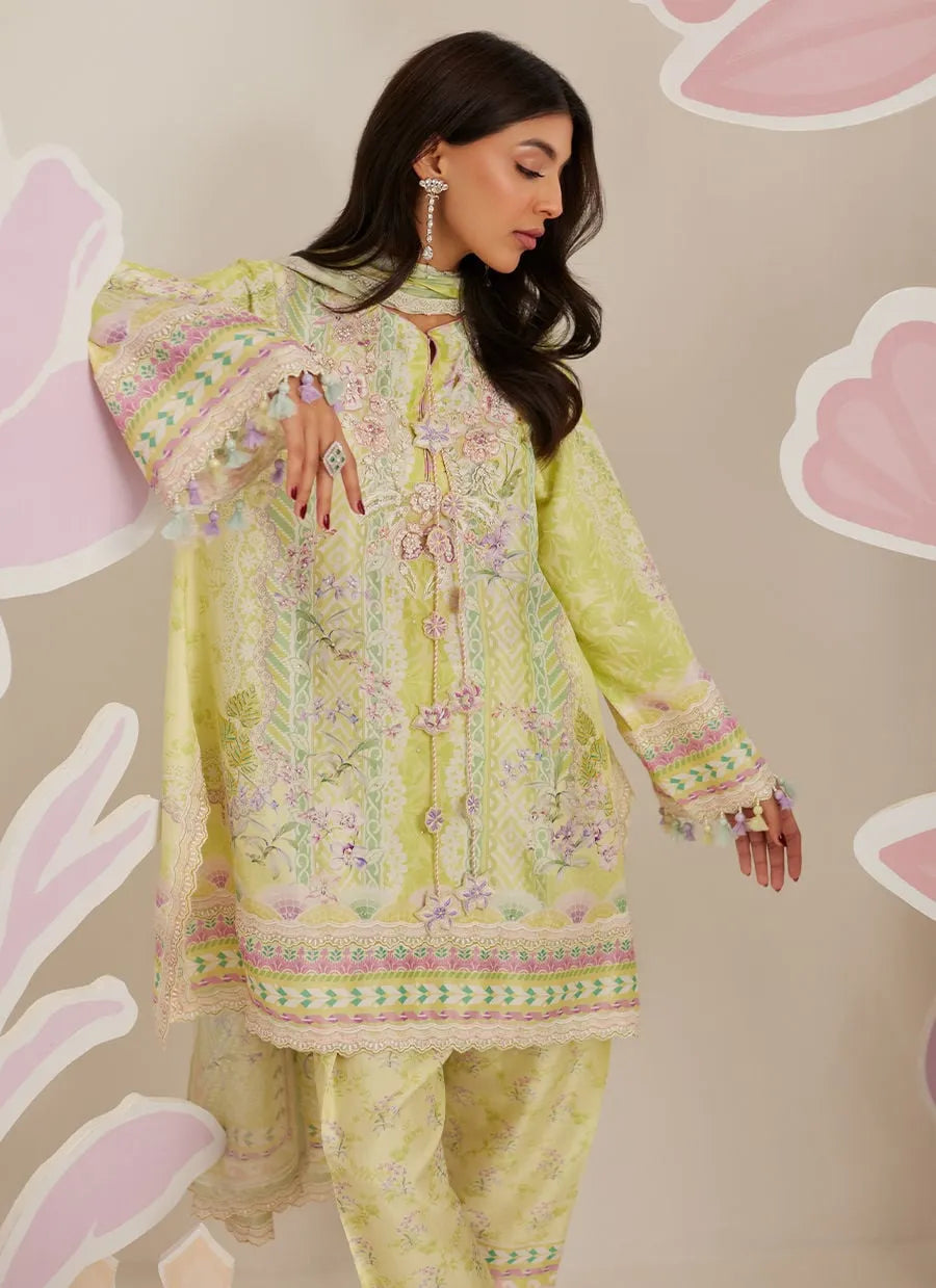 Woman wearing a light green embroidered traditional outfit against a patterned background
