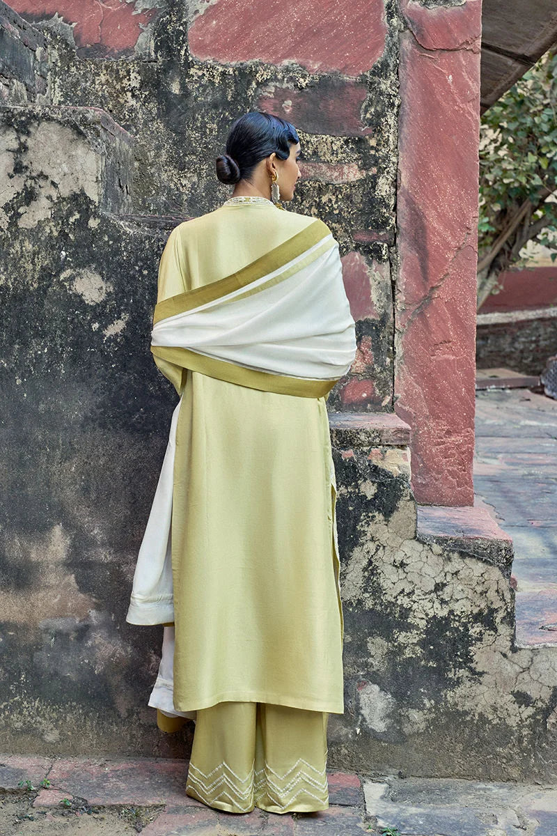 Woman in a light green saree with a white blouse standing against a textured wall.