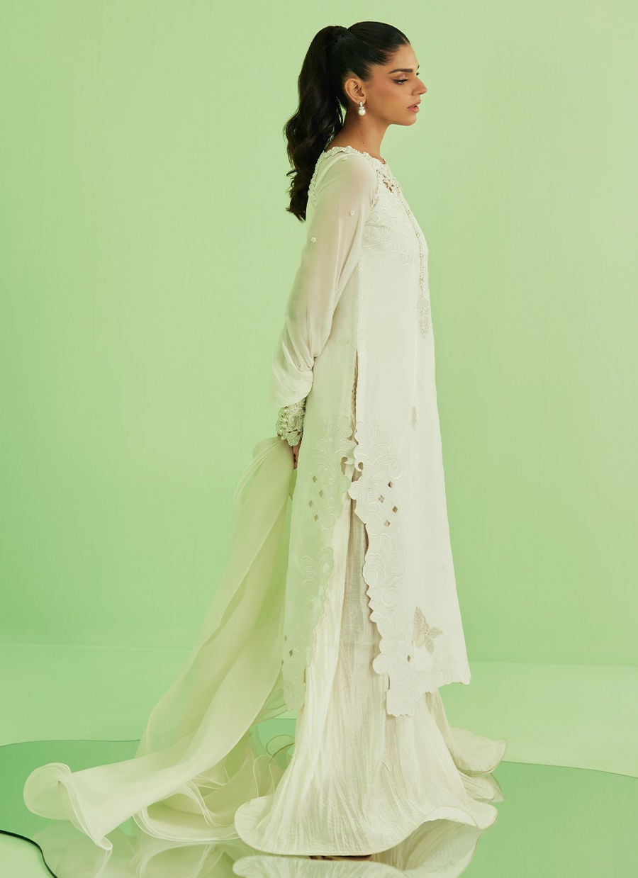 Briar Shirt Dupatta and pants