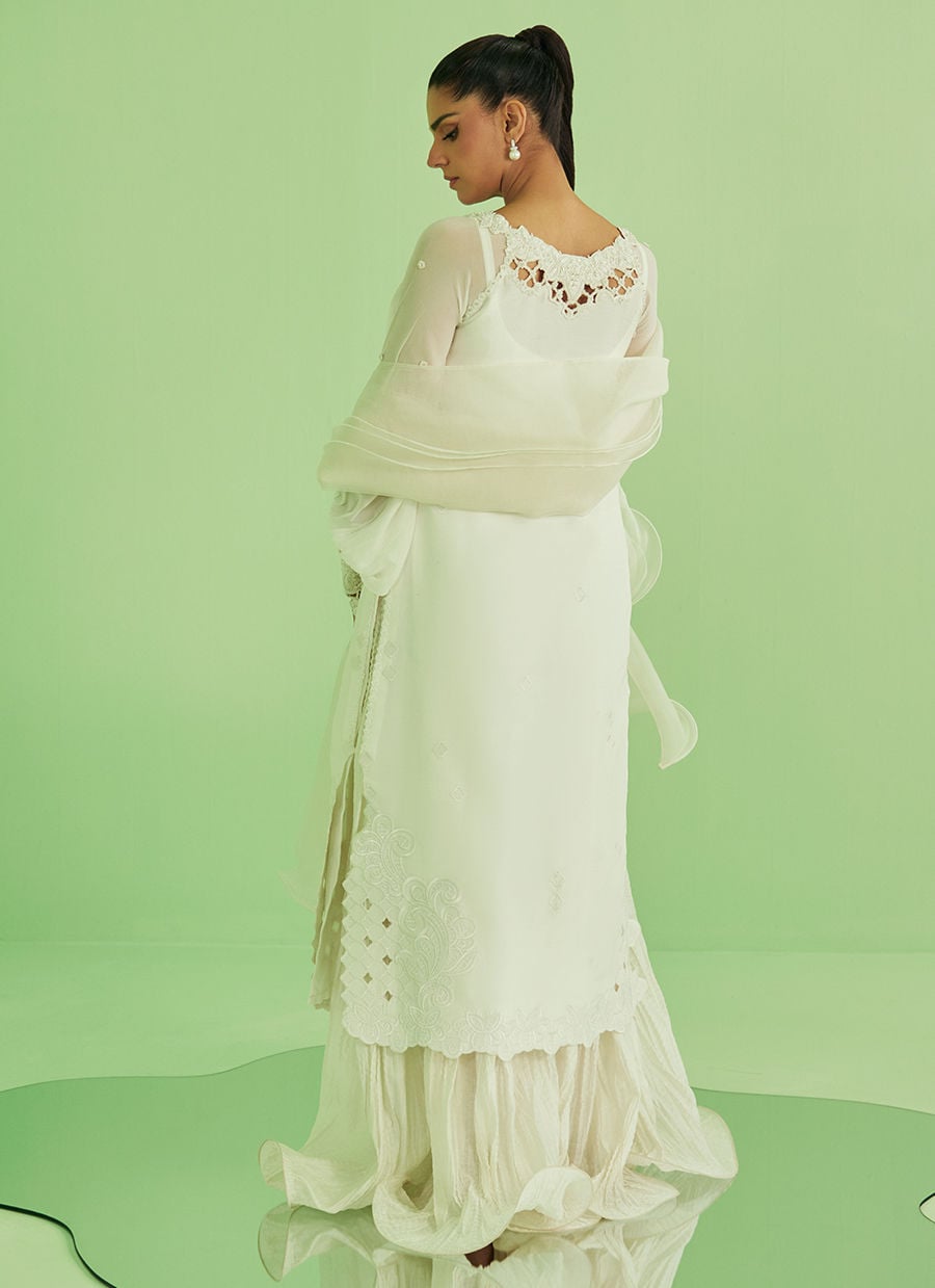 Briar Shirt Dupatta and pants