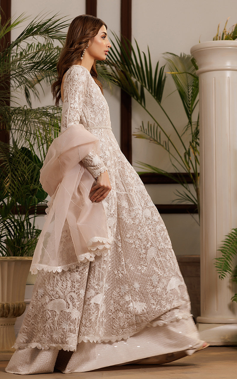 Net Embroidered Dress | Thread & Motifs