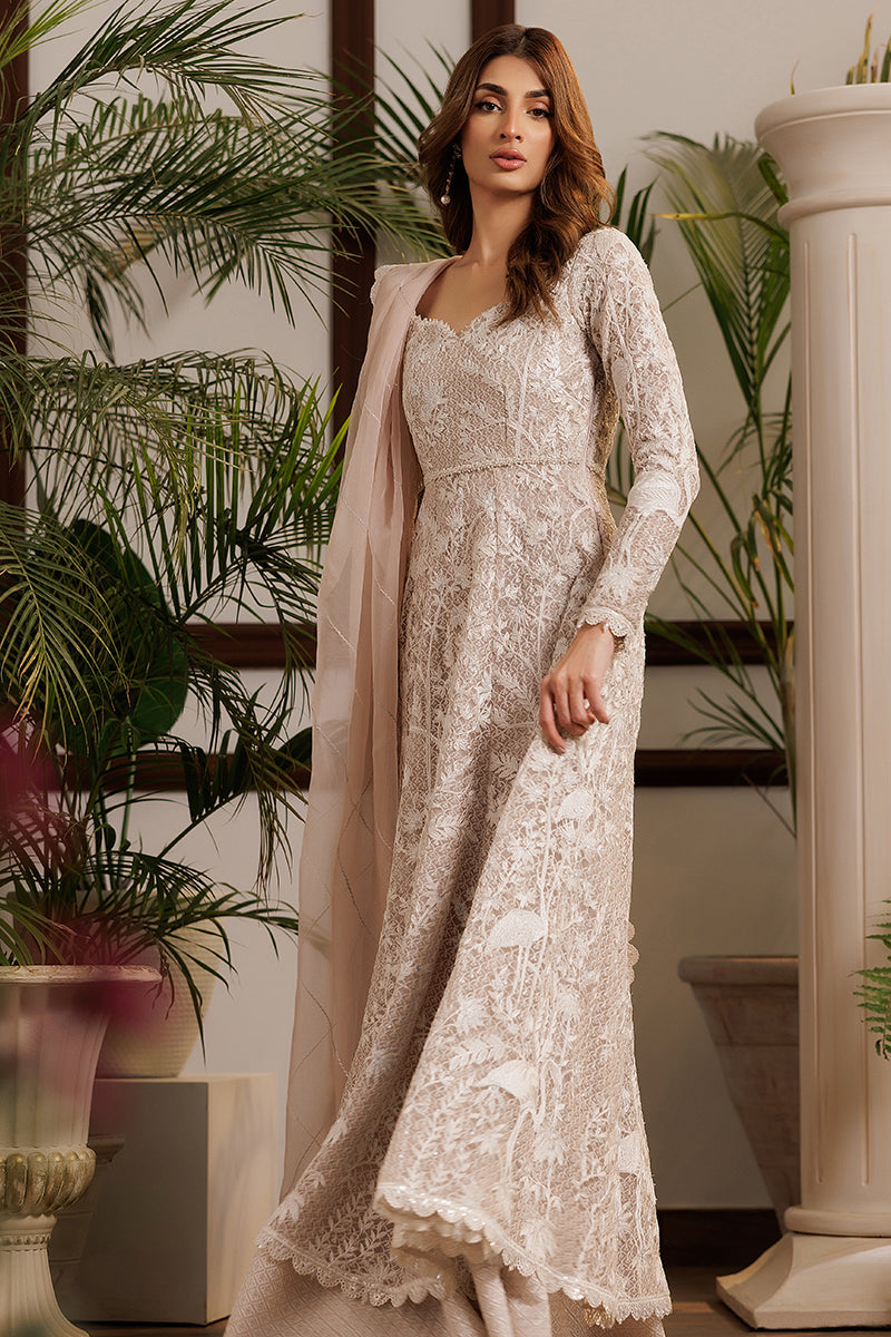 Net Embroidered Dress | Thread & Motifs