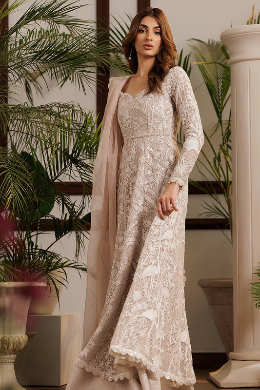 Net Embroidered Dress | Thread & Motifs