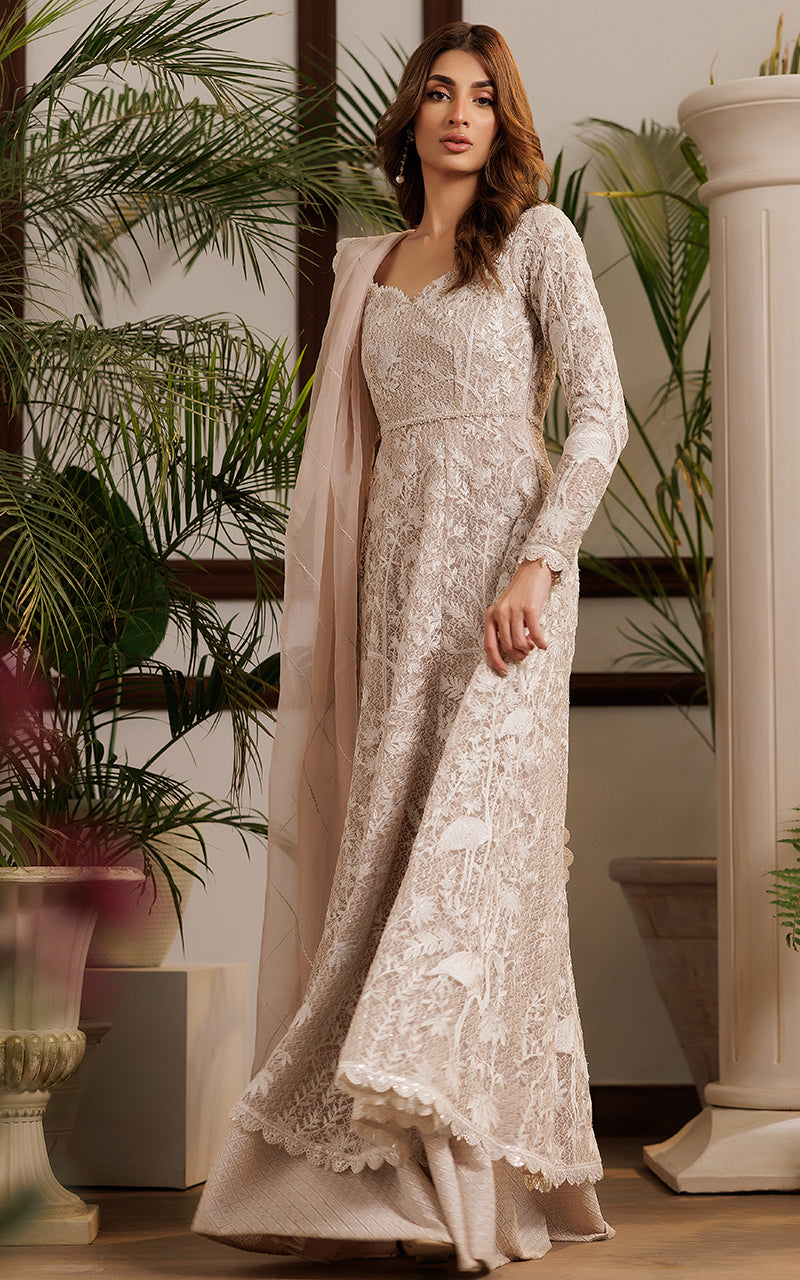 Net Embroidered Dress | Thread & Motifs