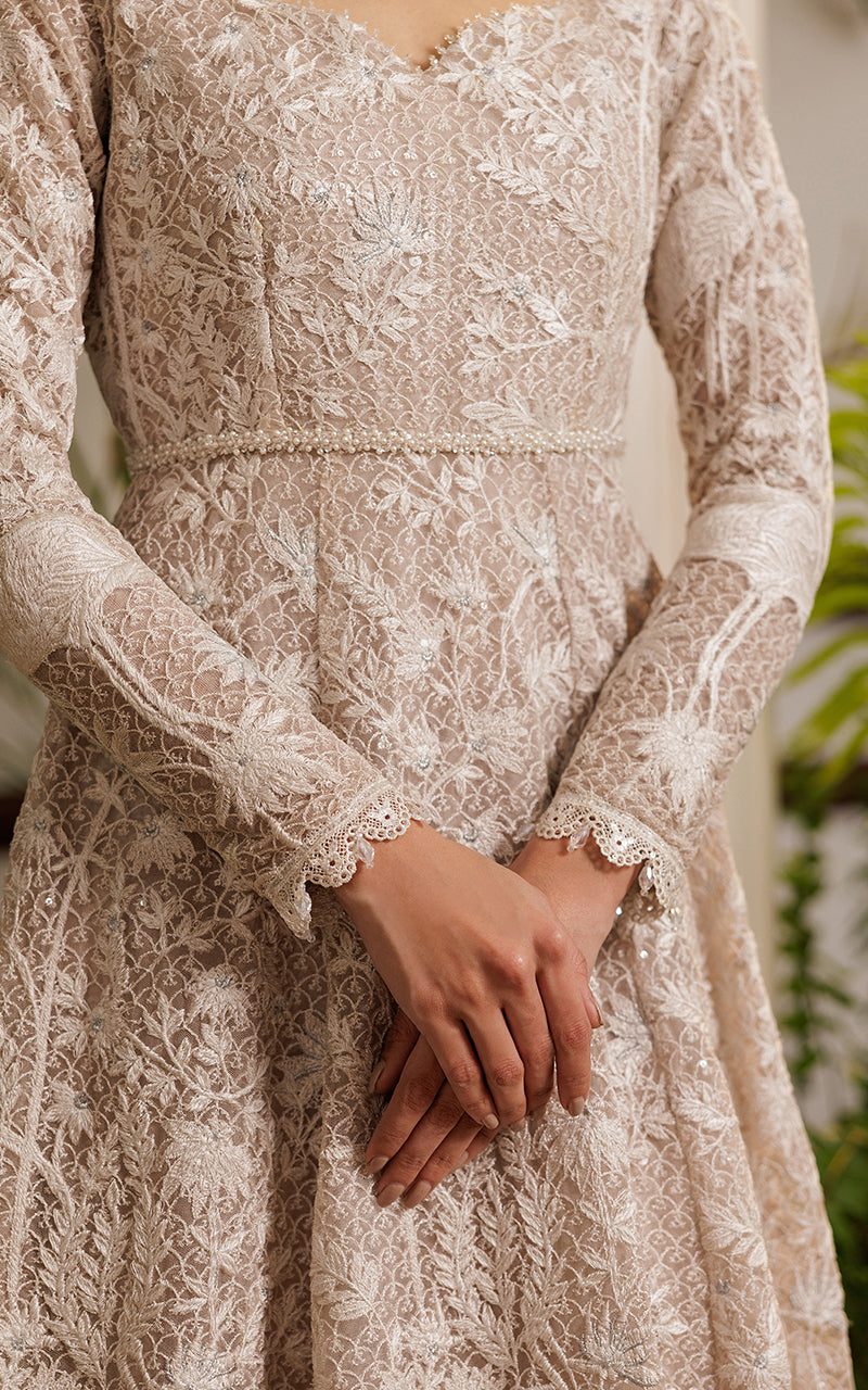 Net Embroidered Dress | Thread & Motifs