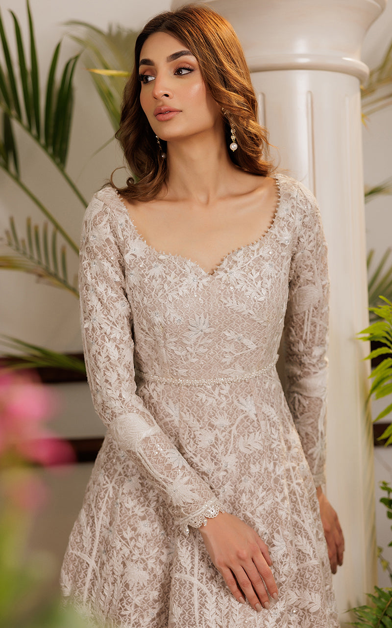 Net Embroidered Dress | Thread & Motifs