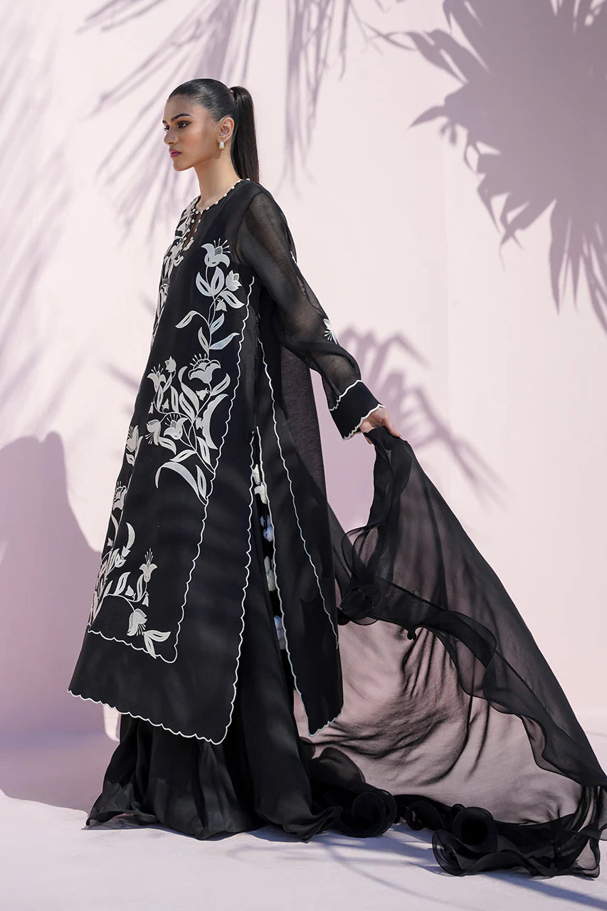 Woman wearing a black embroidered dress with sheer overlay against a white background
