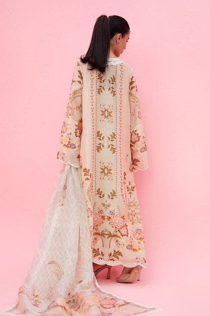 Sania maskatiya - Ilsa