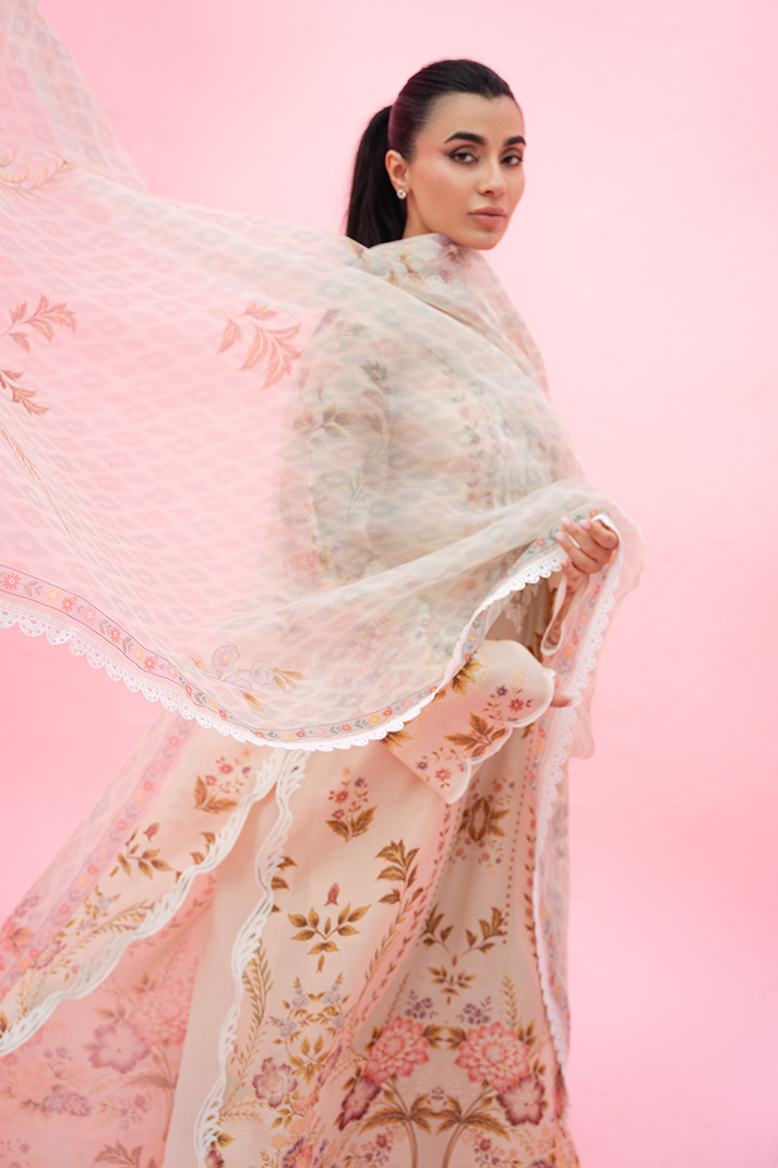 Sania maskatiya - Ilsa