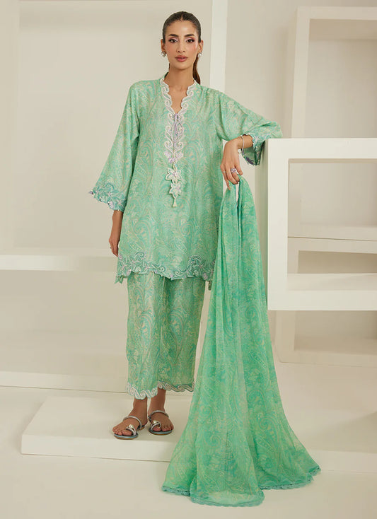 Sabrina Shirt, Dupatta, Pants