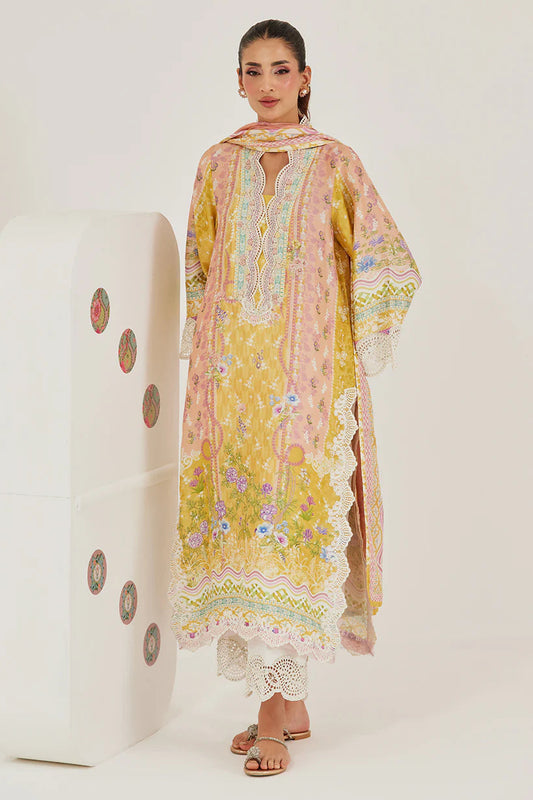 Briella Shirt, Dupatta and Pants