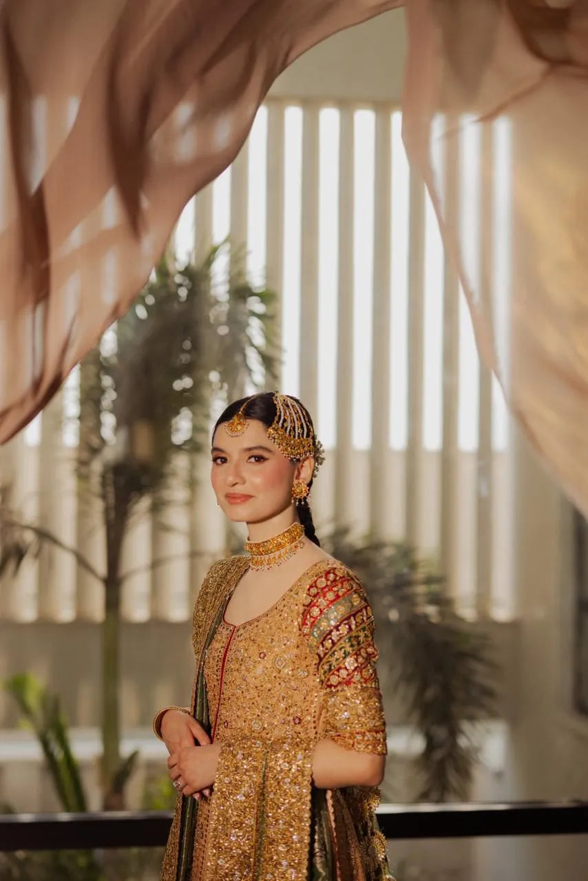 Woman in traditional attire with decorative headpiece and jewelry, standing indoors with plants in the background.