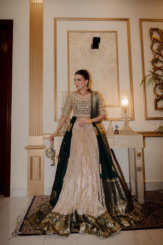 S C -Lehenga Choli